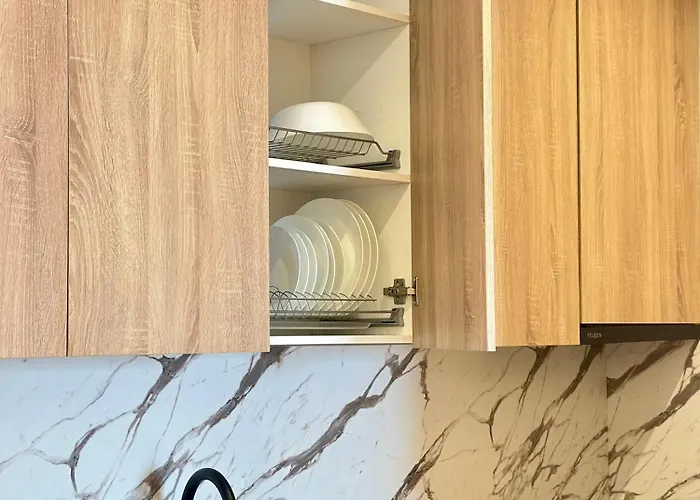 Stayin * ティラナ